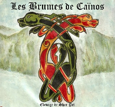 Des Brumes De Caïnos